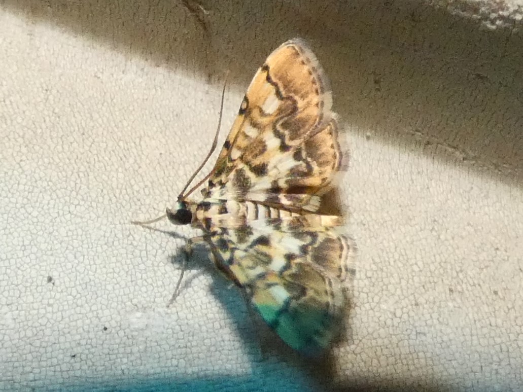 photo_3